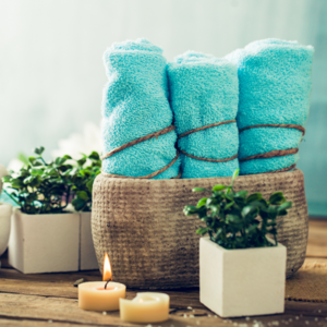 Thomas Lee White Wash Cloths
