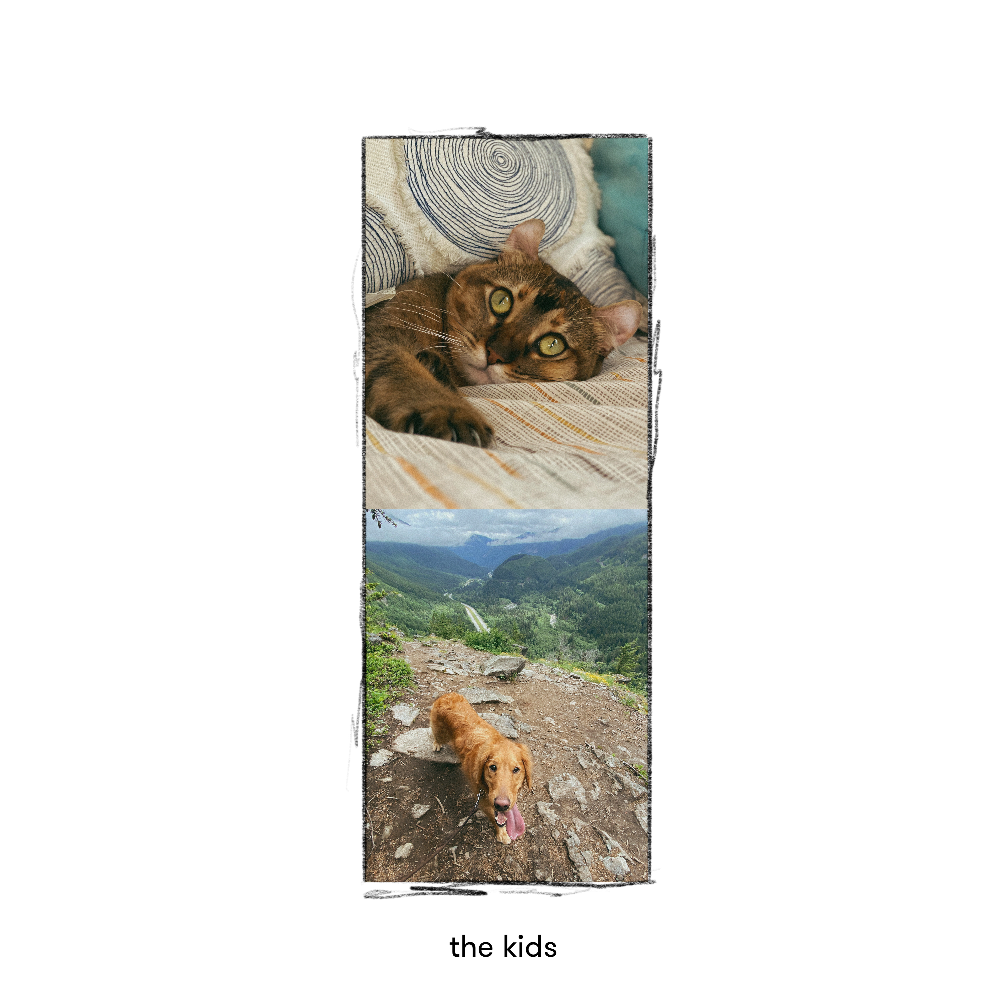 Our cat Zaika and our dog Fifi always welcome us when we come home and make us laugh everyday. Fifi leaves her fur on every surface, and Zaika pees in sinks. We choose love them anyway.
