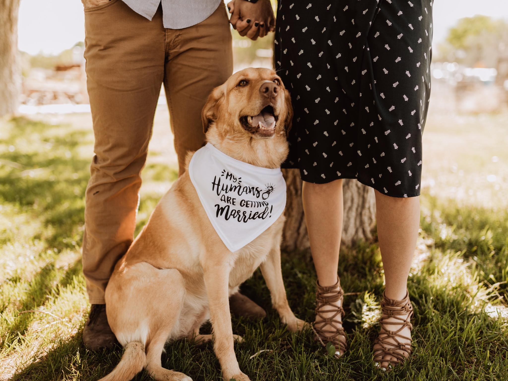 The Wedding Website of Candace Comeau and Ryan Orr