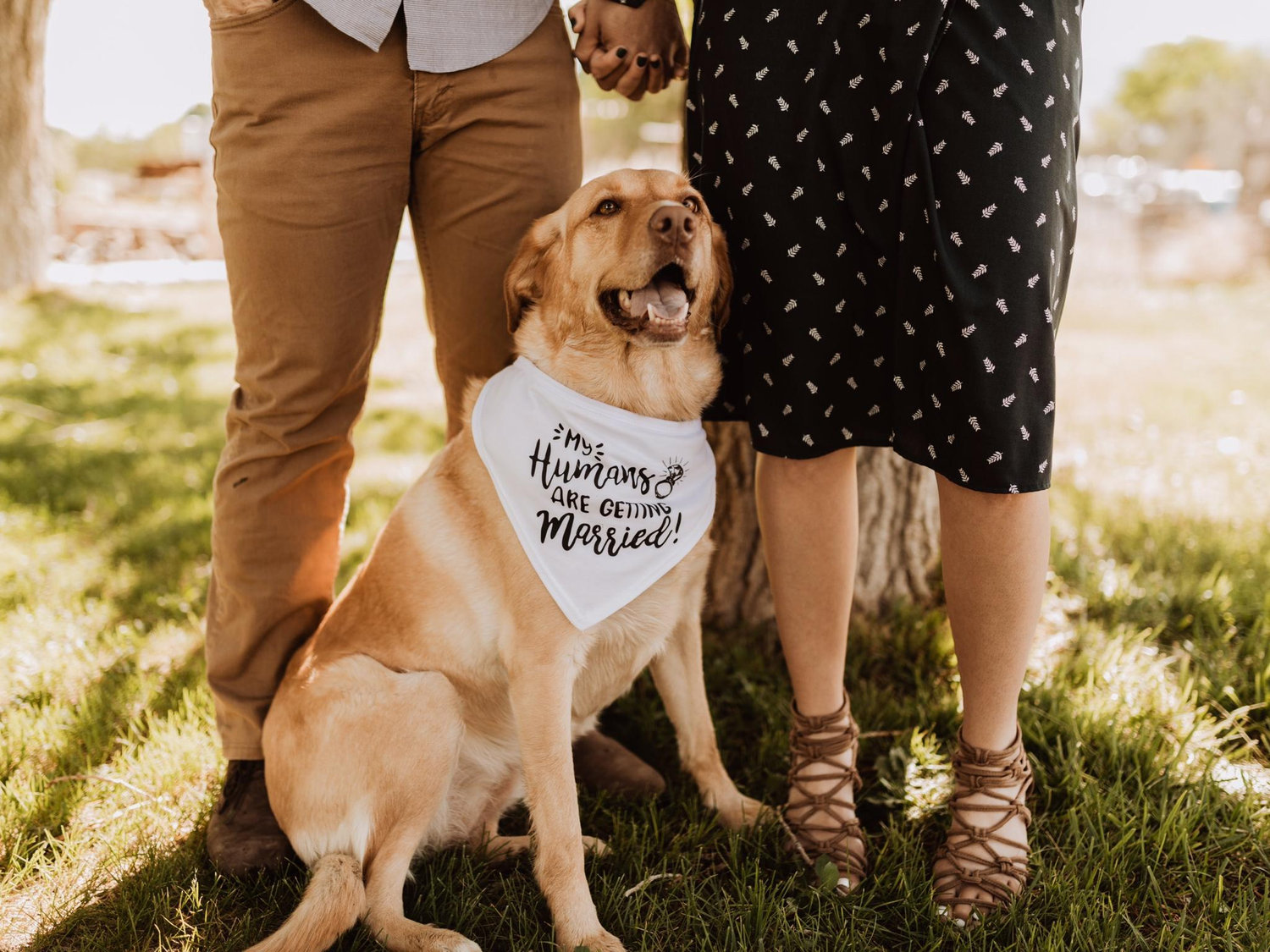 The Wedding Website of Candace Comeau and Ryan Orr