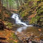 Chesterfield Gorge Natural Area