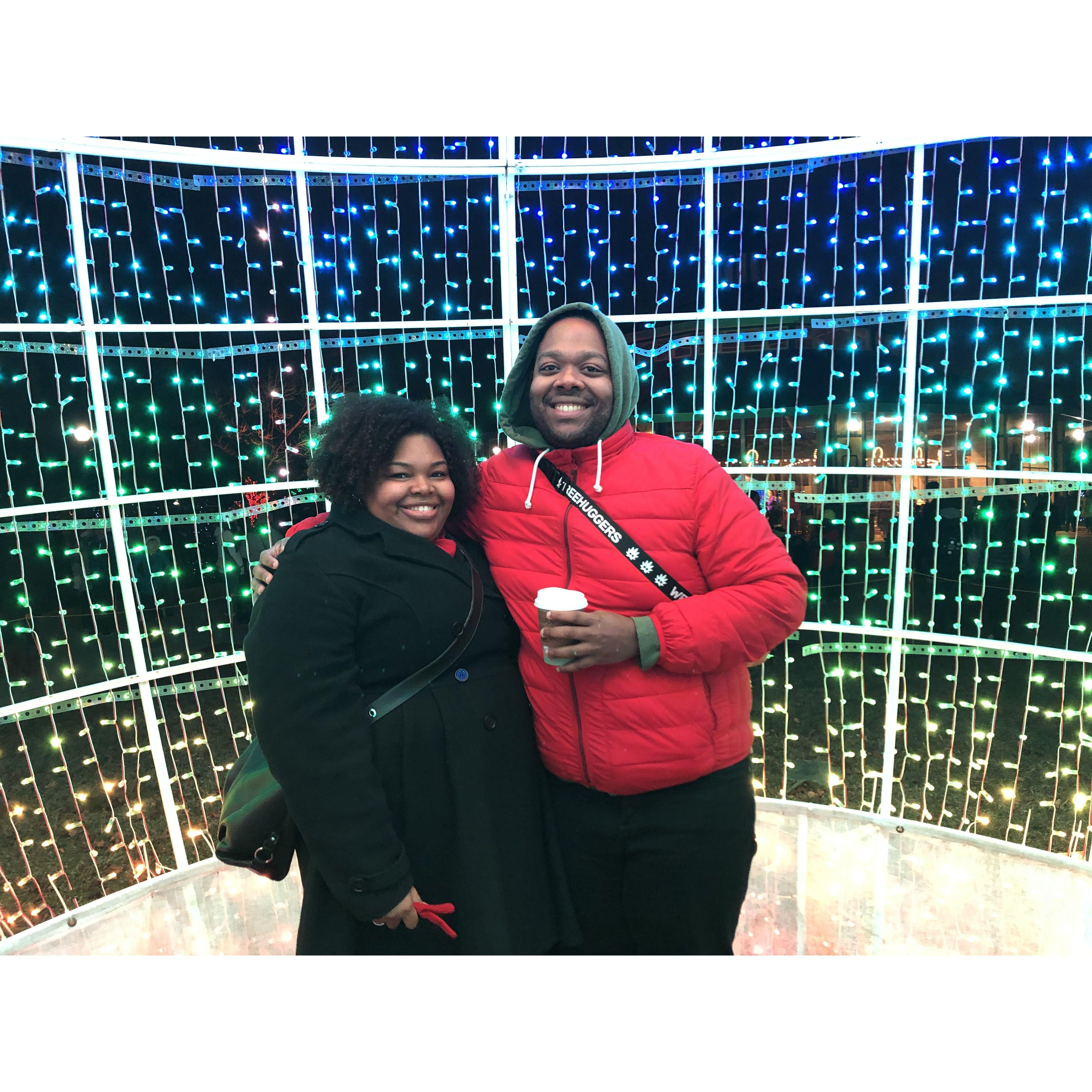 Brookfield Zoo Lights - 2018