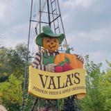 Valas pumpkin patch