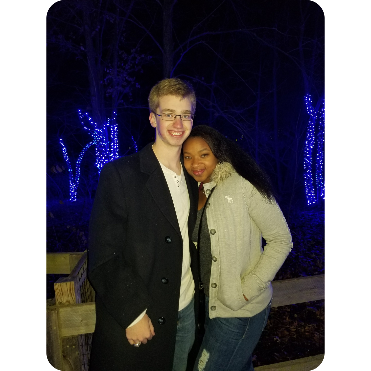 December 2017: Zoo lights
