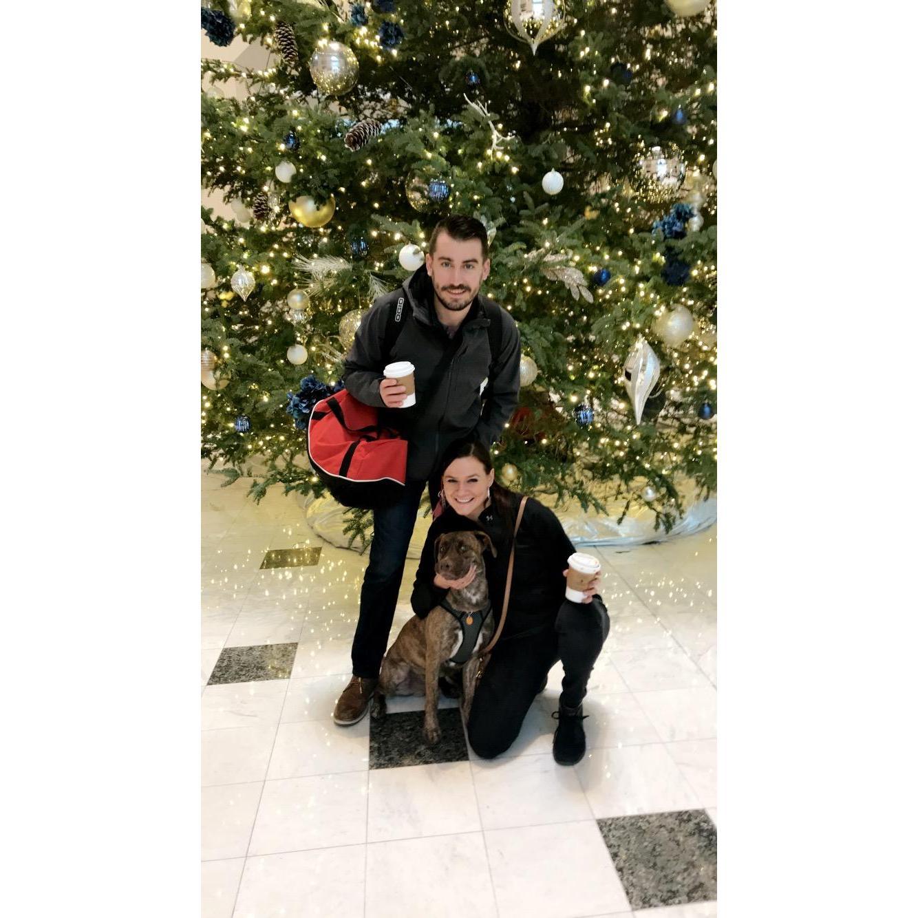 Our first fur baby #Paco