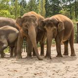 Oregon Zoo