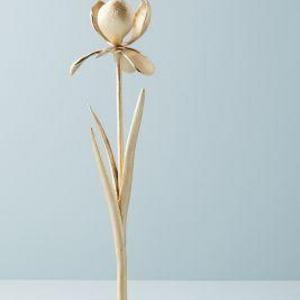 Iris Taper Holder