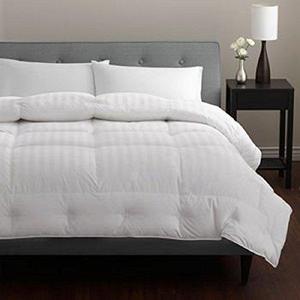 Pacific Coast: European Down Comforter