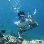 Snorkeling (0.3 miles)