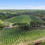 Limestone Terrace Vineyard