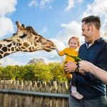 Detroit Zoo