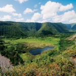 Waimanu Valley