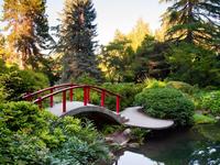 Bellevue Botanical Garden