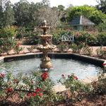 Harry P Leu Gardens