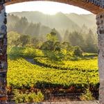 Jack London State Historic Park
