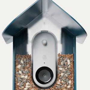 Birdbuddy Pro Solar