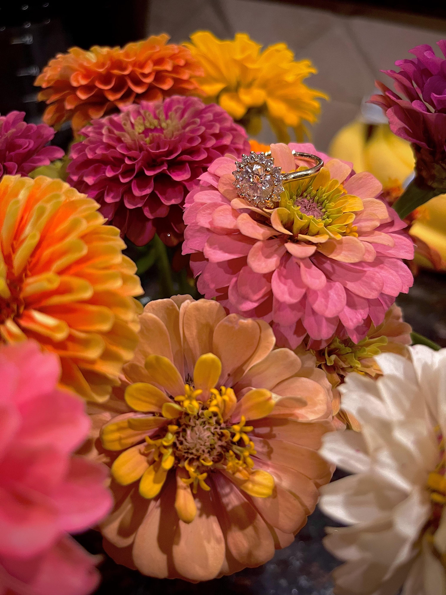 The Wedding Website of Sarah McKenzi Lewis and James Alan Kee
