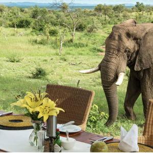 Outdoor Dinner - Honeymoon Fund