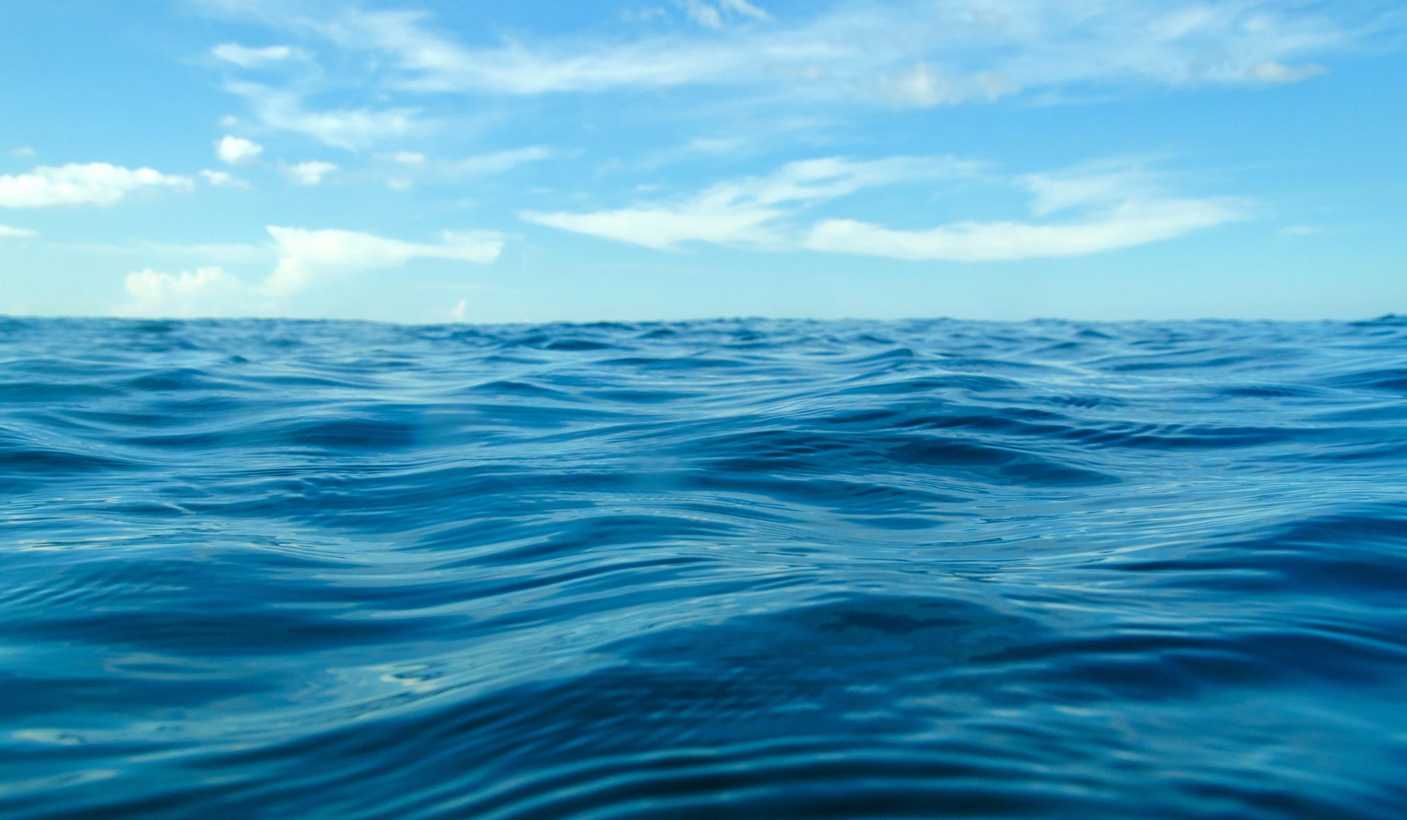 81825b68-1406-4c2e-ba56-ca8710797c0f