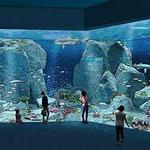 Kansas City Zoo & Aquarium