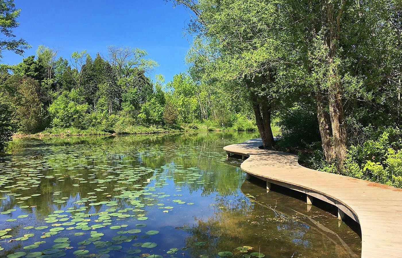 The Wedding Website of Cassidy Amell and Cody McClelland