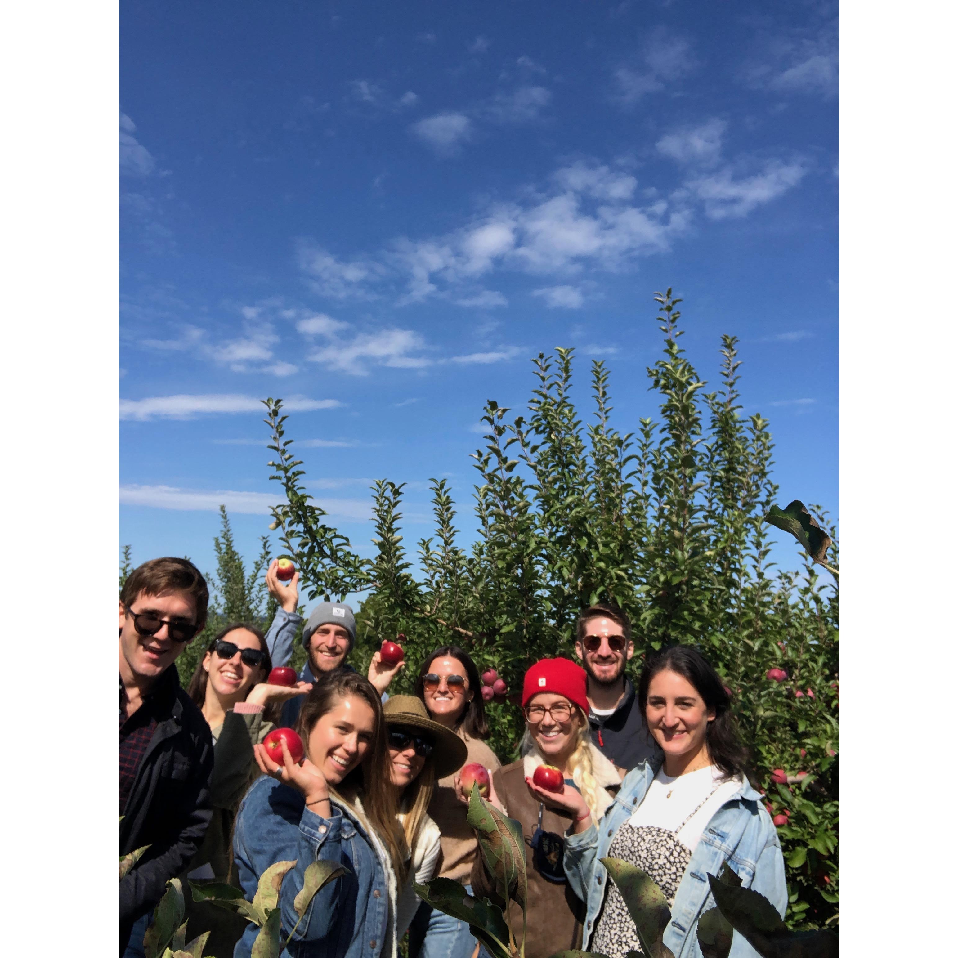 Apple picking with friends in the Hudson Valley