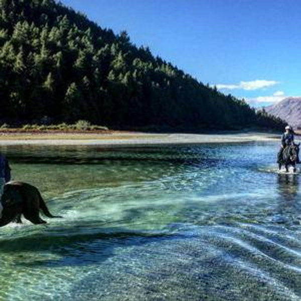 Horseback Riding On Our Honeymoon