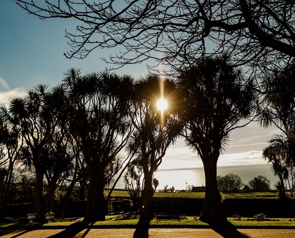 The Wedding Website of Reagan Attebery and Matt Conlin