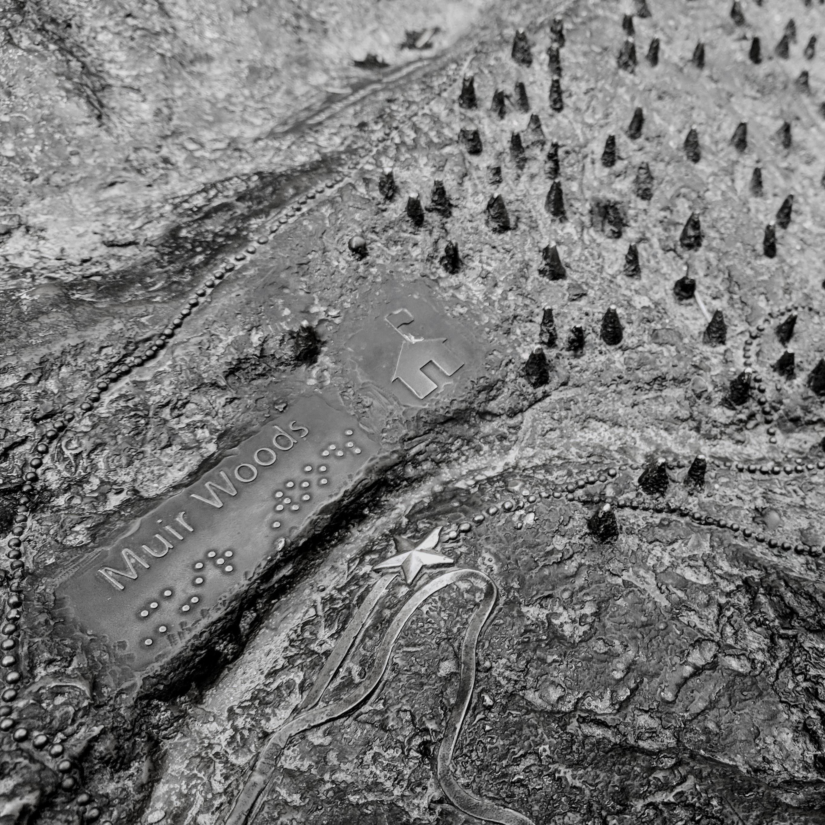 Where he asked the question "Will you be my wife?" on October 22, 2017.