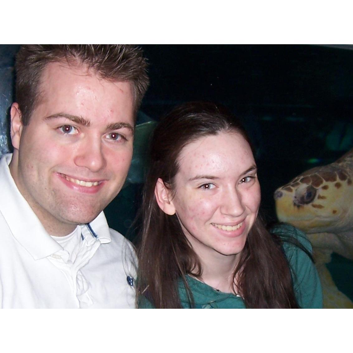 Perhaps the oldest photo of us a couple, perfectly photobombed by a giant sea turtle at the Norwalk Aquarium. David named him Ham.