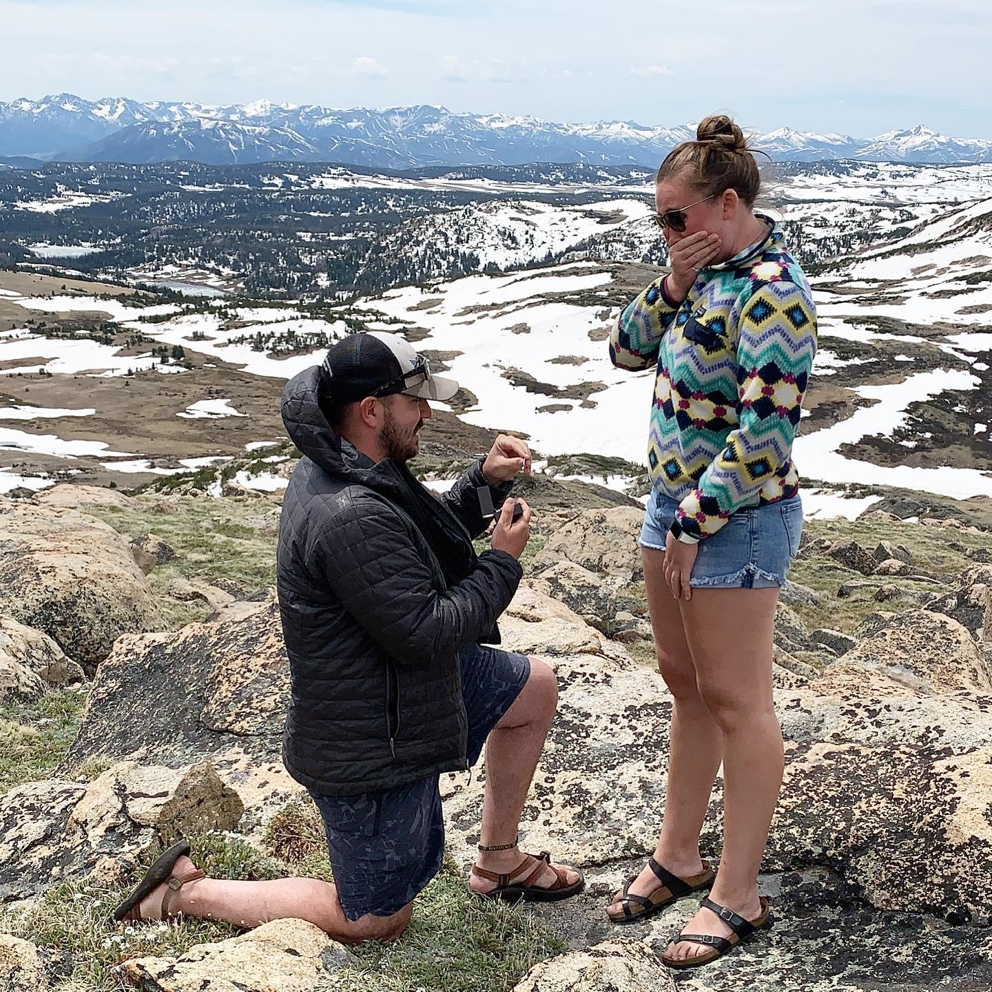 The proposal - June 12, 2020