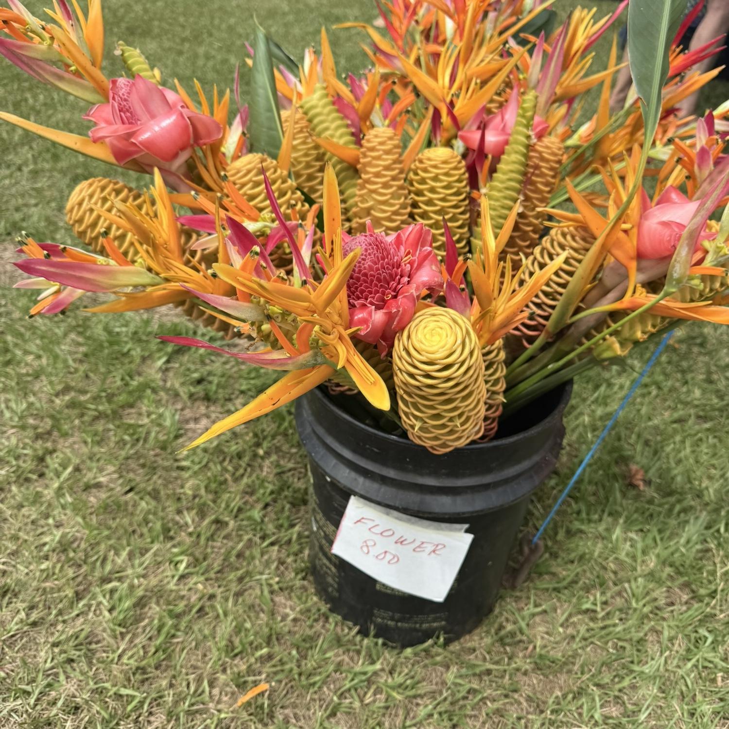 We LOVED all the florals & fruits/veggies in Kauai!