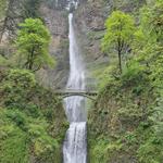 Multnomah Falls