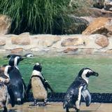 Lehigh Valley Zoo
