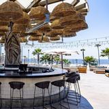 Treehouse on PCH