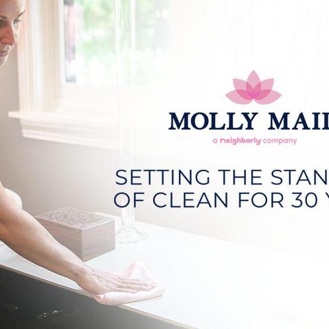 Molly Maid Cleaning Service