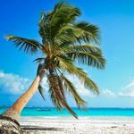 Paradise Beach