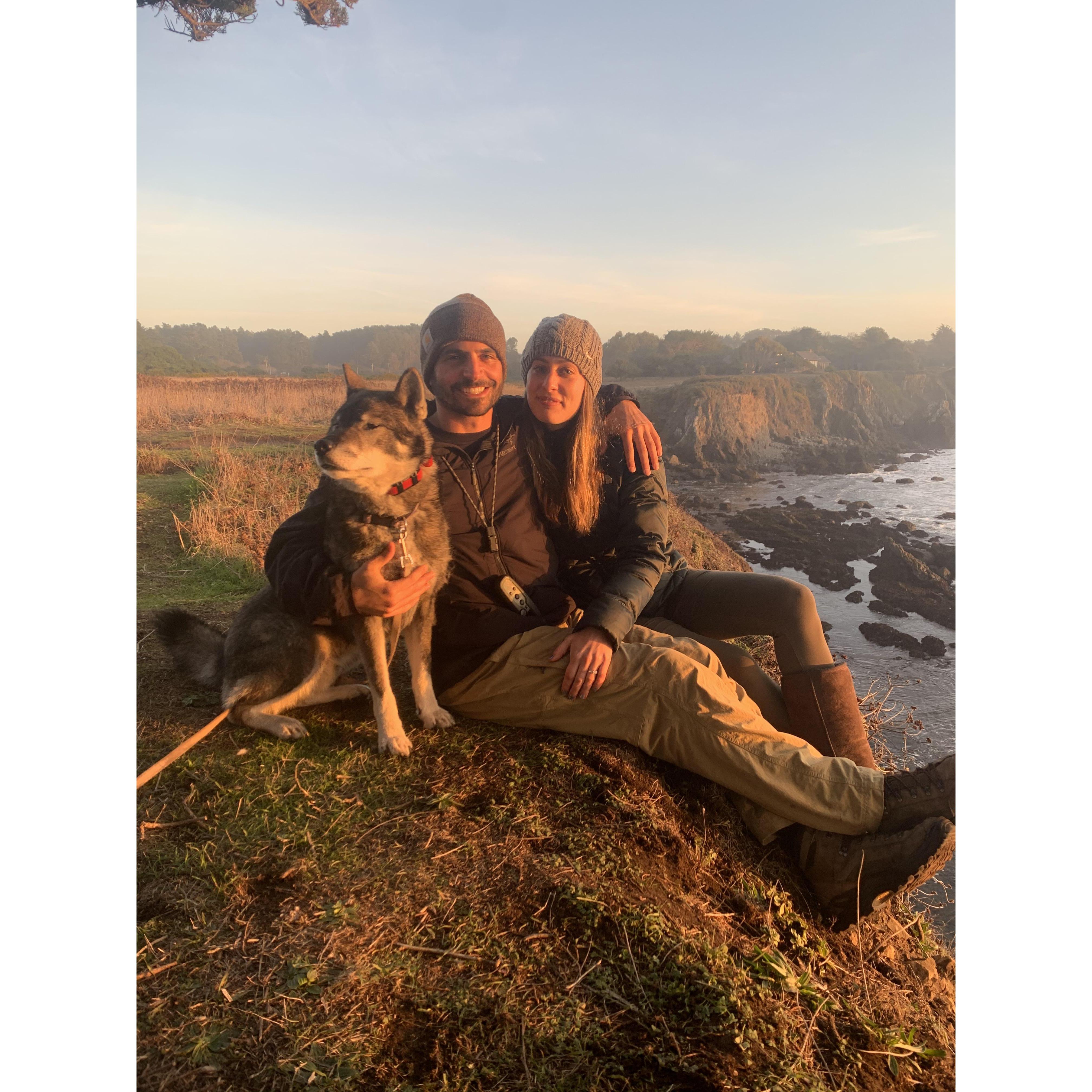 Mendocino coast