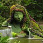 Atlanta Botanical Garden