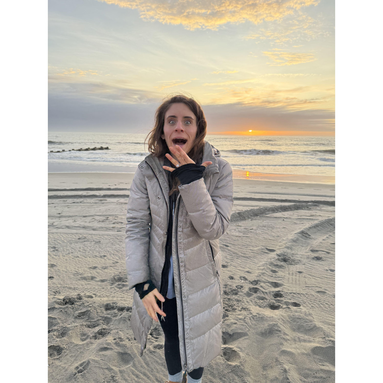 My reaction to the proposal