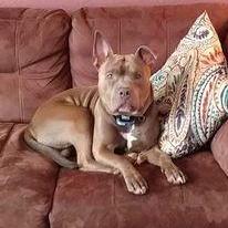 Our Son Bentley