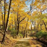 Happy Hollow Park