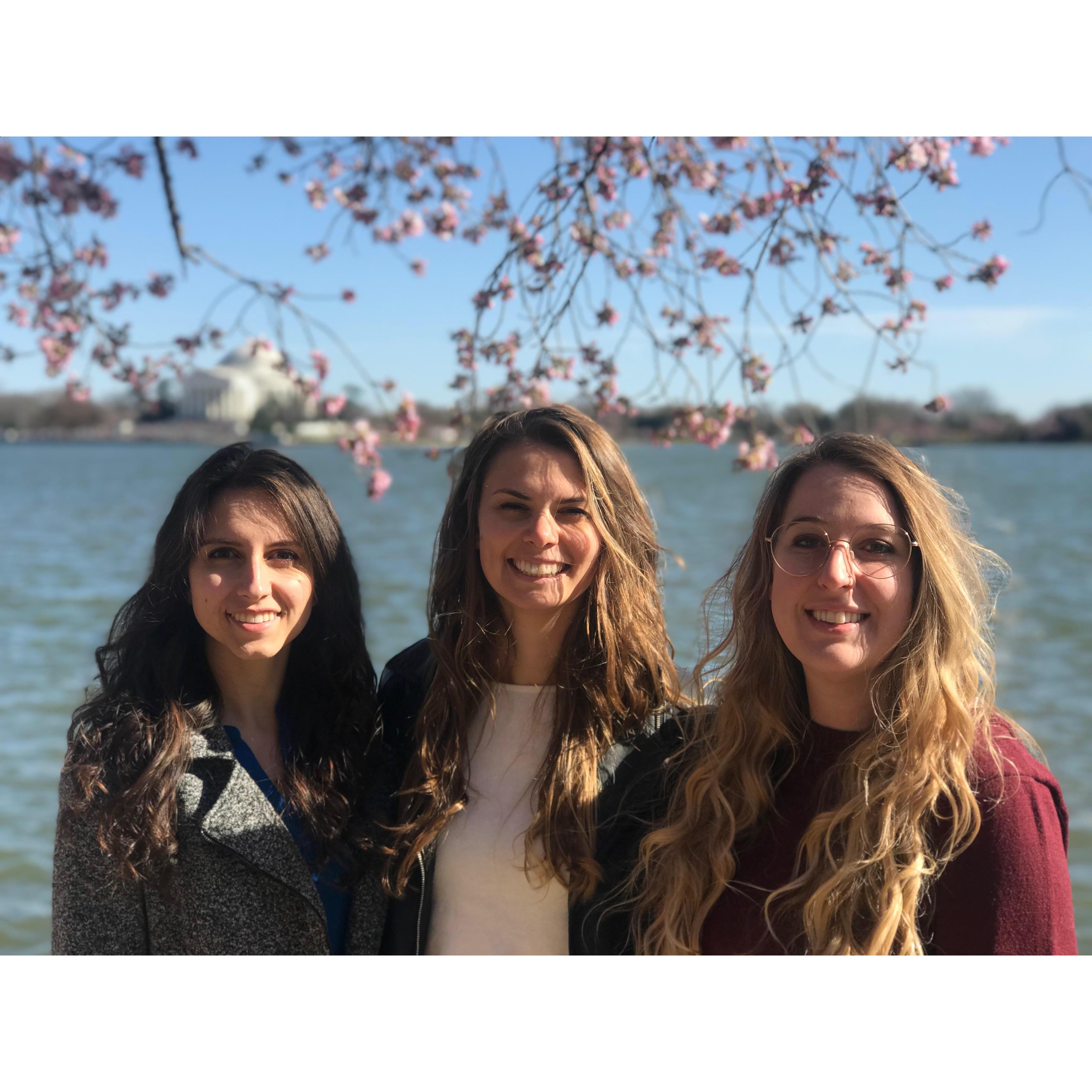 DC Cherry Blossom 2018