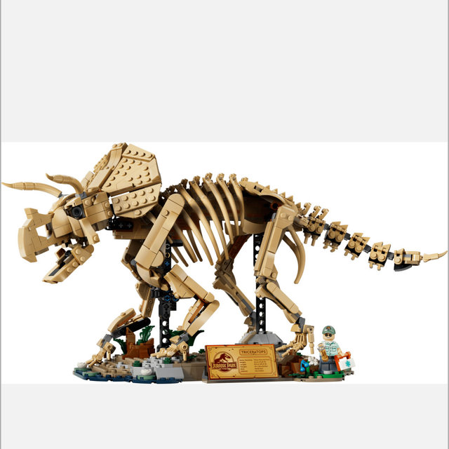 Dinosaur Fossils: Triceratops