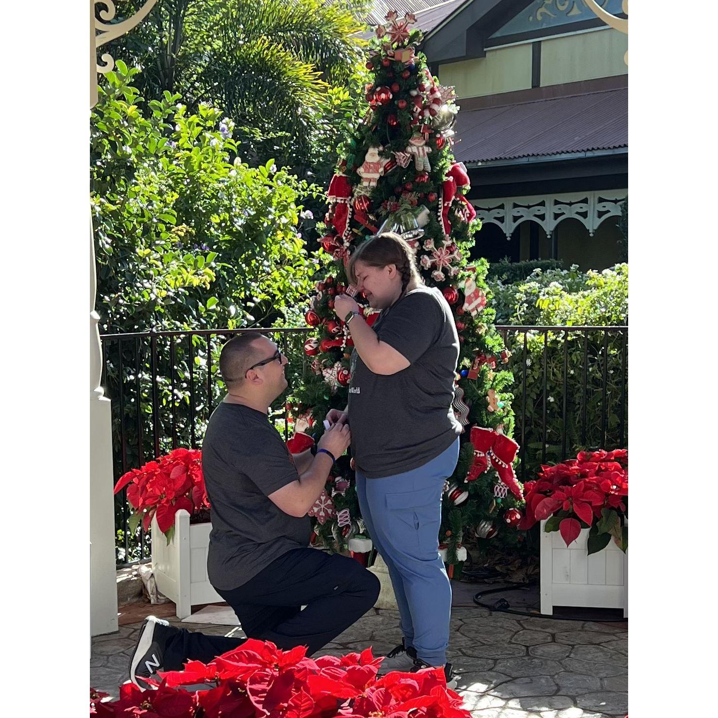 Proposal in Disney World on December 26, 2021