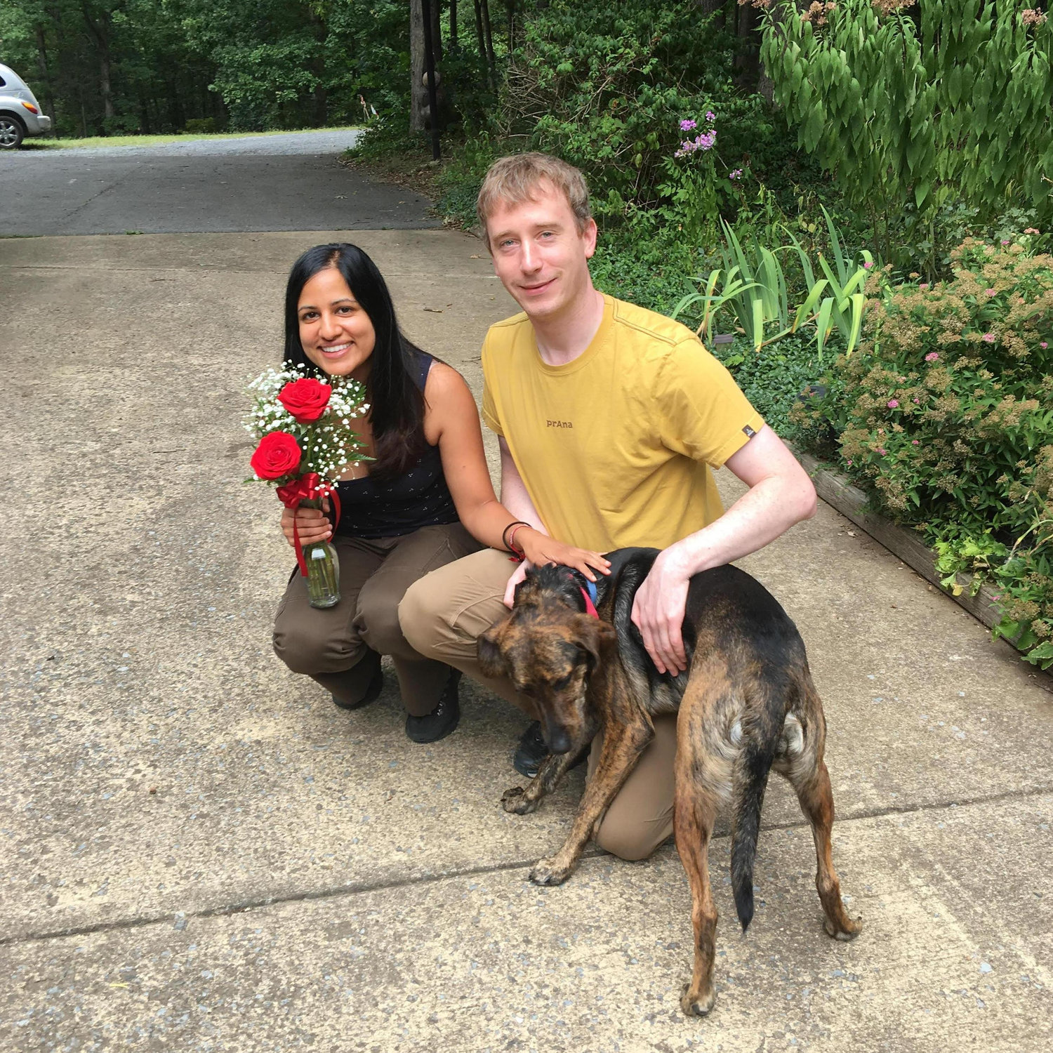 Our one year anniversary... meet Sadie, our hostess at the bed & breakfast