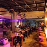 El Bosque era Rosado