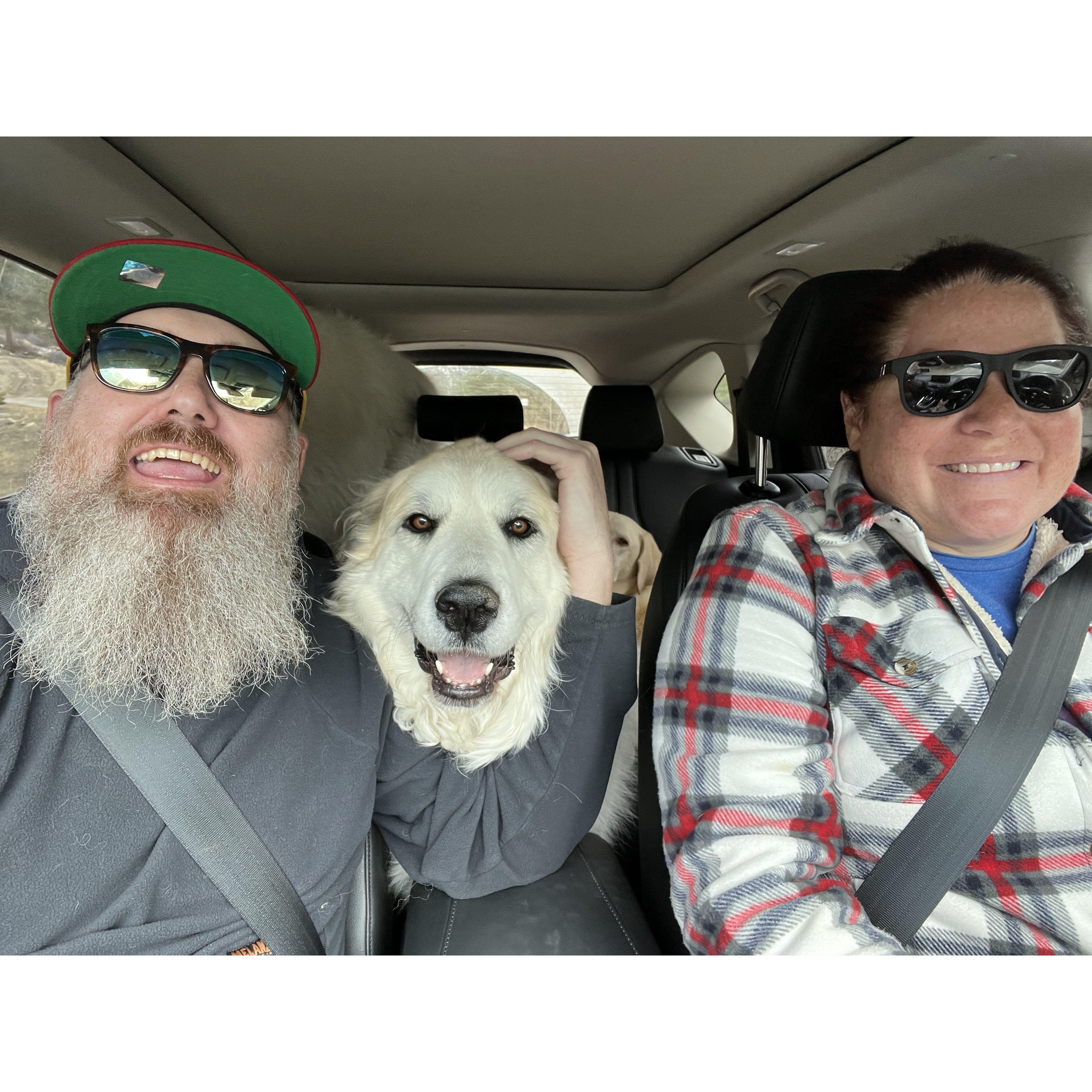 Dogs packed up to visit grandpaw in Colorado Springs