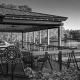American Gator Club