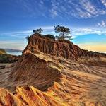 Torrey Pines State Natural Reserve